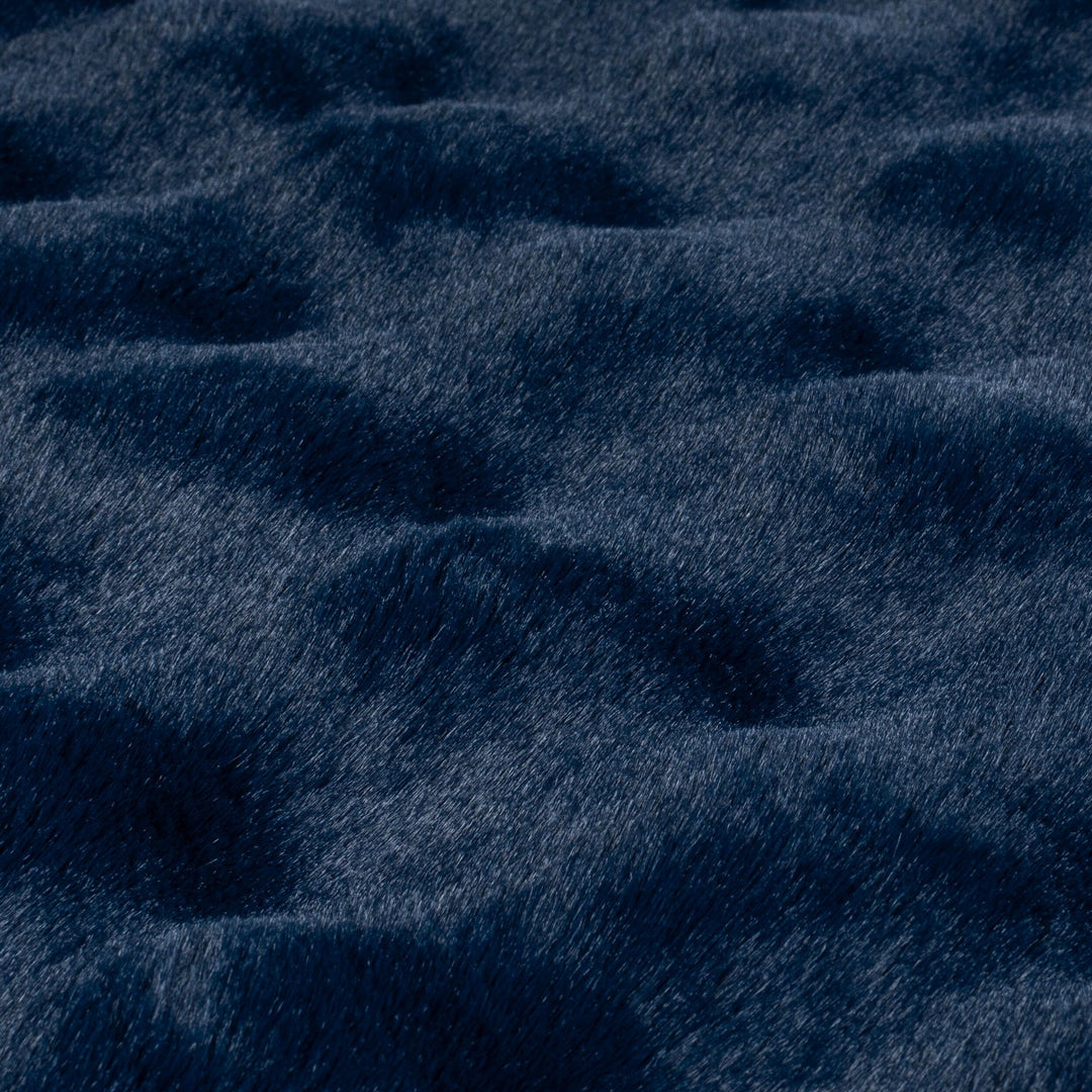 #couleur_bleu