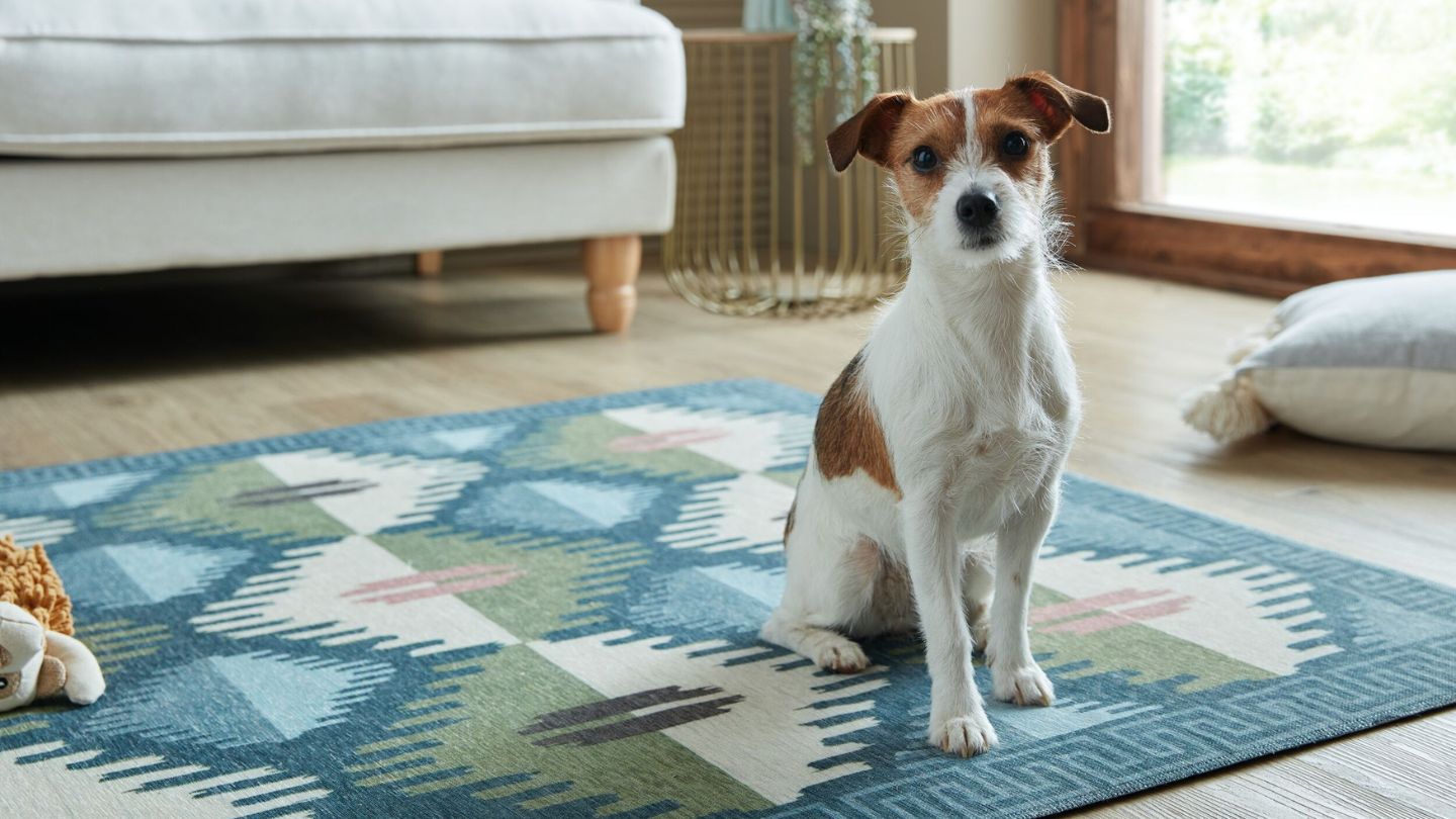tapis-naturel-laine